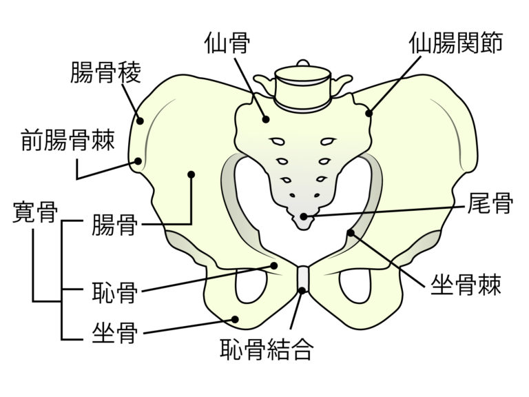 骨棘の診断方法